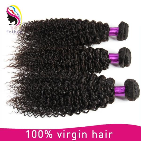 remy human hair kinky curly wholesale unprocessed malaysia hair #3 image