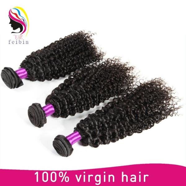 remy human hair kinky curly wholesale unprocessed malaysia hair #4 image
