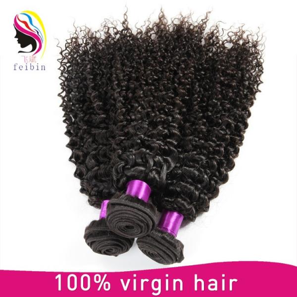 wholesale hair weave distributors brazilian kinky curl brazilian virgin hair #1 image