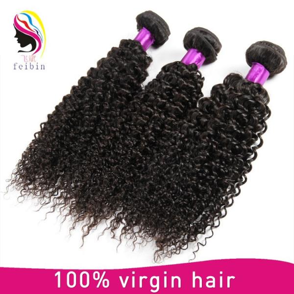 wholesale hair weave distributors brazilian kinky curl brazilian virgin hair #2 image