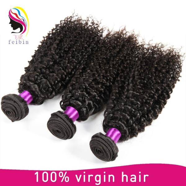 wholesale hair weave distributors brazilian kinky curl brazilian virgin hair #3 image