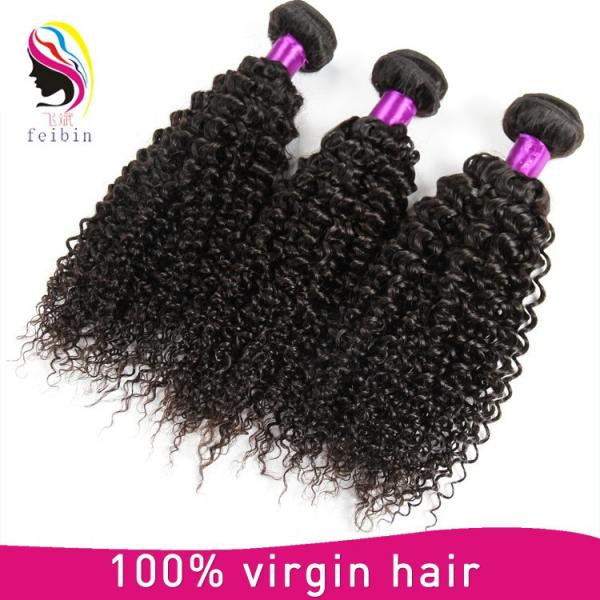 wholesale hair weave distributors brazilian kinky curl brazilian virgin hair #4 image