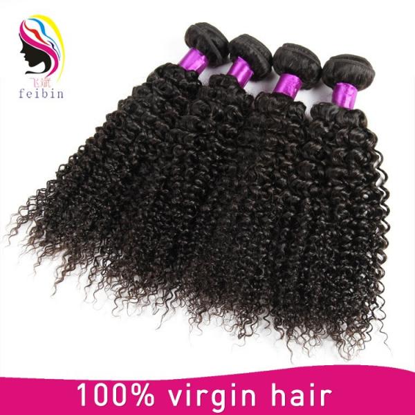 wholesale hair weave distributors brazilian kinky curl brazilian virgin hair #5 image